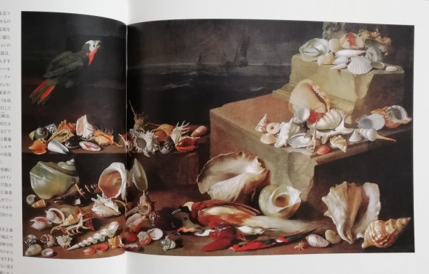 フランドルの画家に帰属※6《巻貝と二枚貝のある静物》 17世紀後半　油彩・キャンバス　88.5×156cm　ウィーン美術史美術館