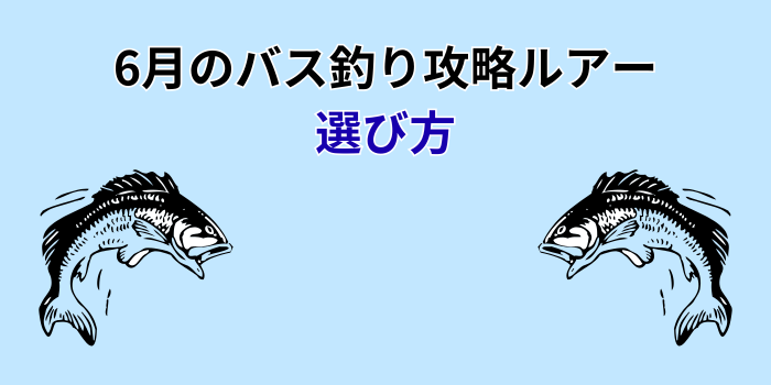 6月 バス釣り攻略ルアー