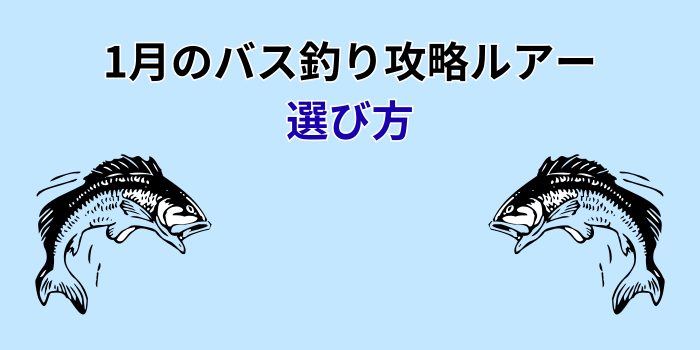 1月バス釣りルアー