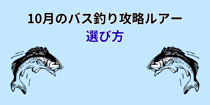 10月 バス釣り ルアー